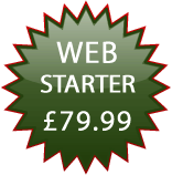 3-page web design fee